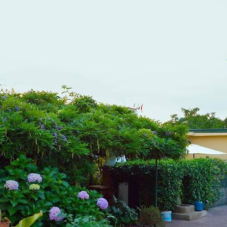 A Tintureira Villa Sao Martinho de Antas Luaran gambar