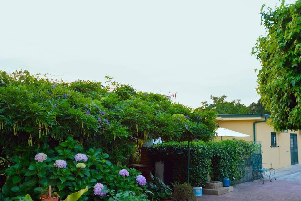 A Tintureira Villa Sao Martinho de Antas Luaran gambar