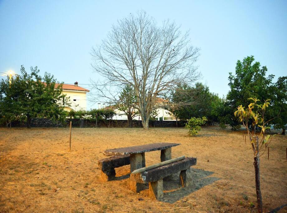 A Tintureira Villa Sao Martinho de Antas Luaran gambar