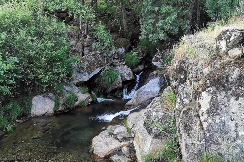 A Tintureira Villa Sao Martinho de Antas Luaran gambar
